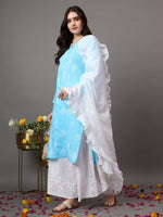 Load image into Gallery viewer, Sky Blue chikankari Embroidered Kurta