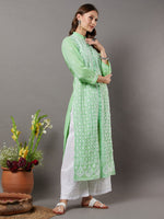Load image into Gallery viewer, Sea green cotton chikankari high collar kurta

